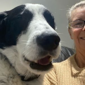 Meet your Posher, Donna